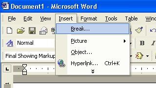 Hướng dẫn tạo ngắt trang trong Word 2003